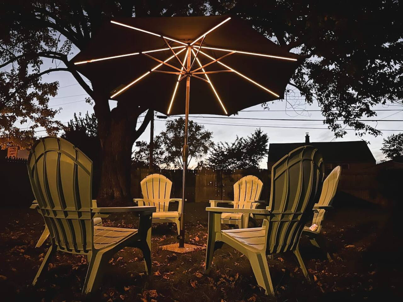 Buffalo Vacation Rental
