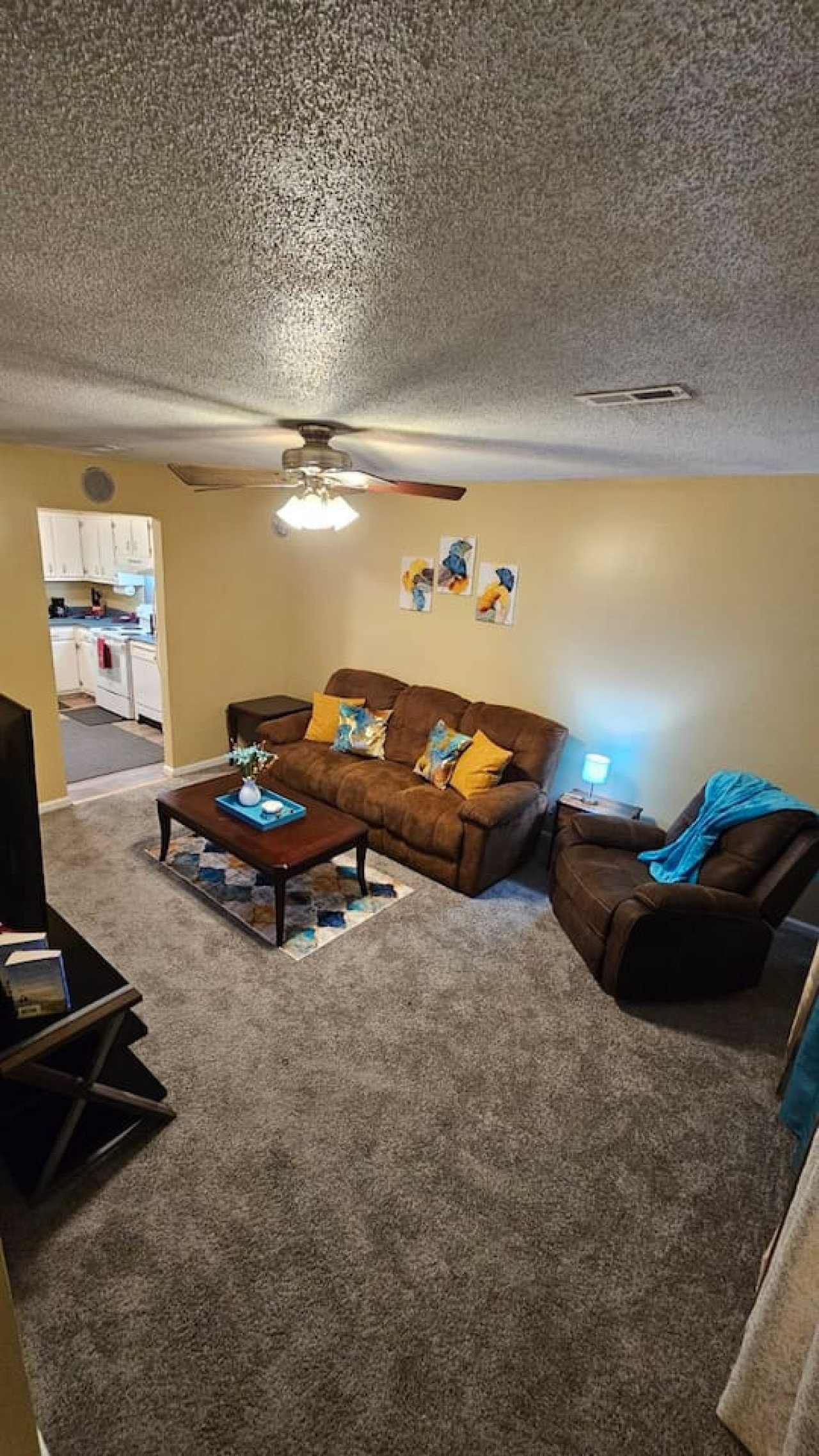 Greenville Vacation Rental