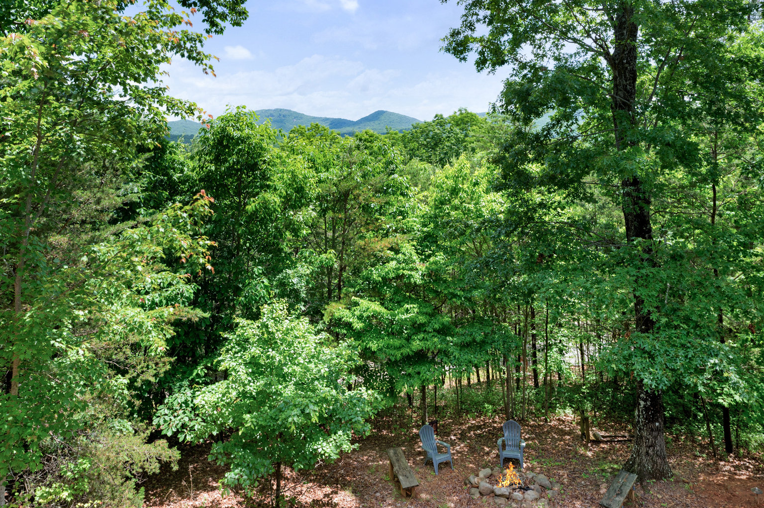 Mineral Bluff Vacation Rental