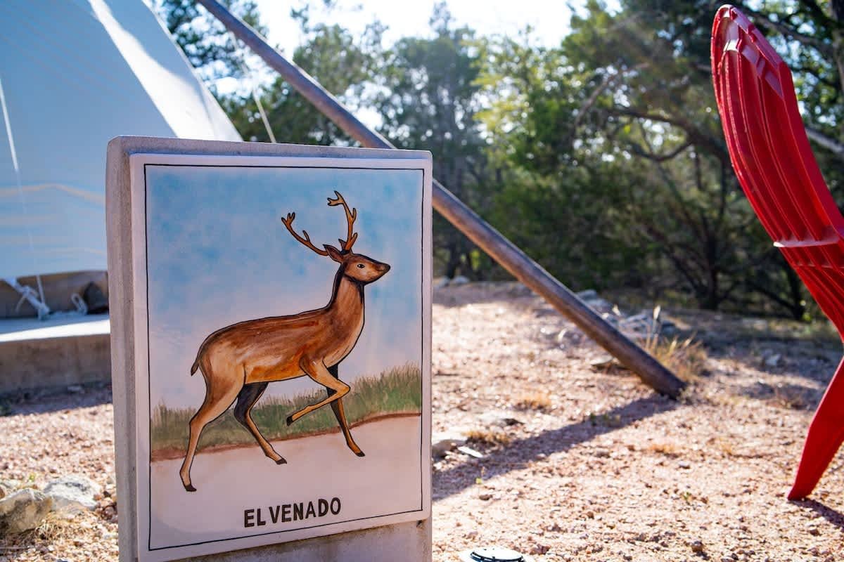 Dripping Springs Vacation Rental