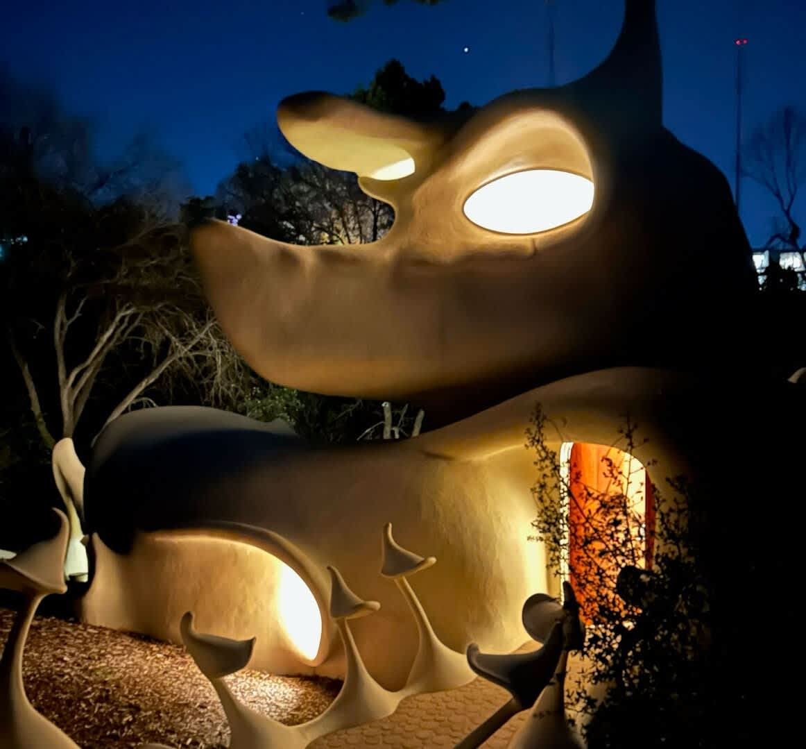 Austin Vacation Rental