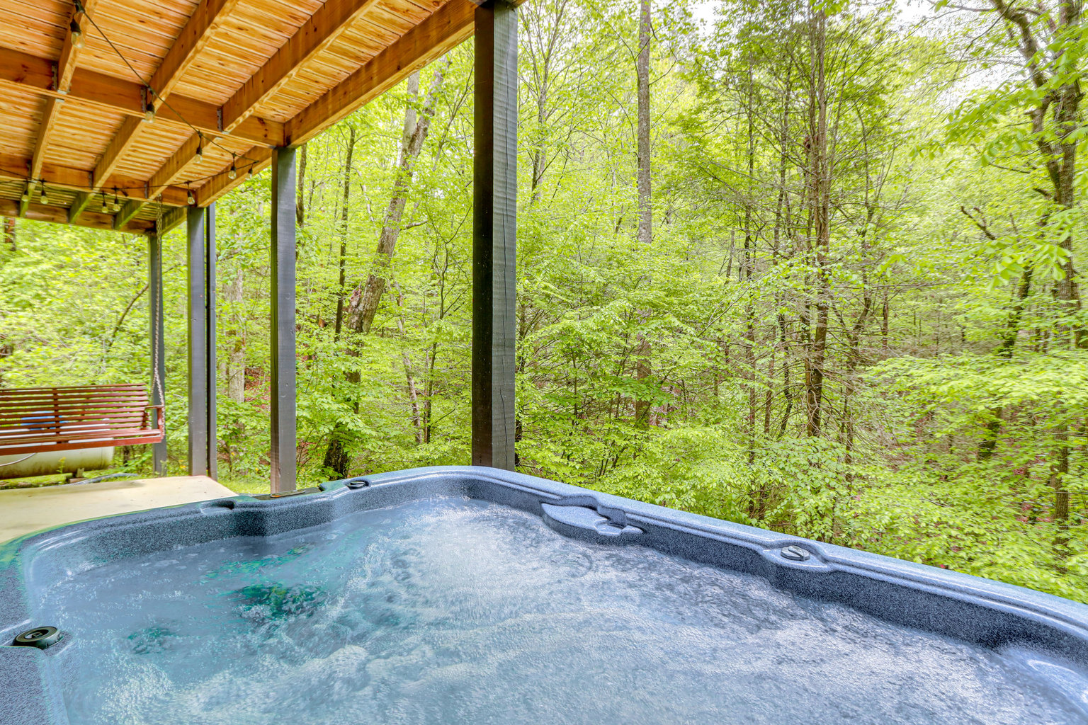 Blue Ridge Vacation Rental
