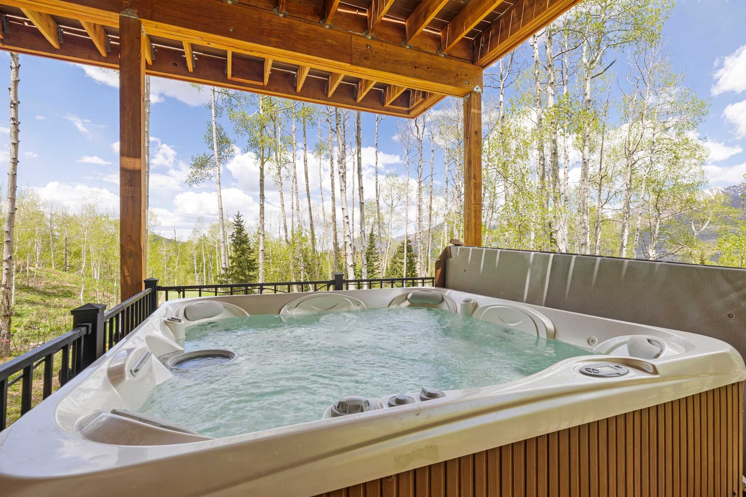Telluride Vacation Rental