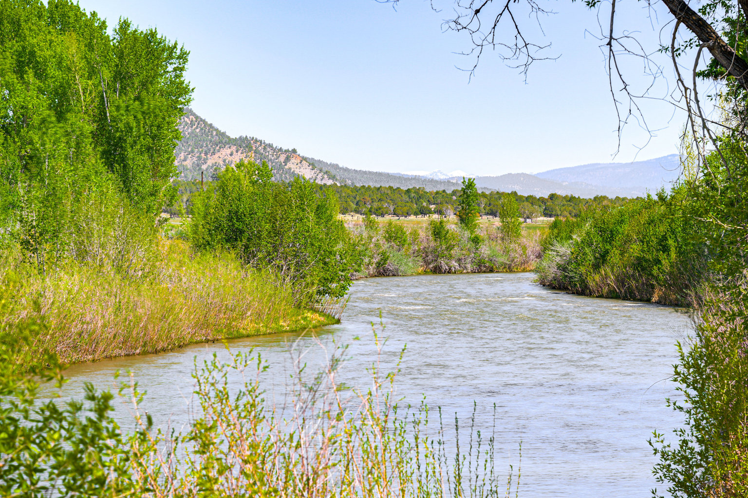 Pagosa Springs Vacation Rental