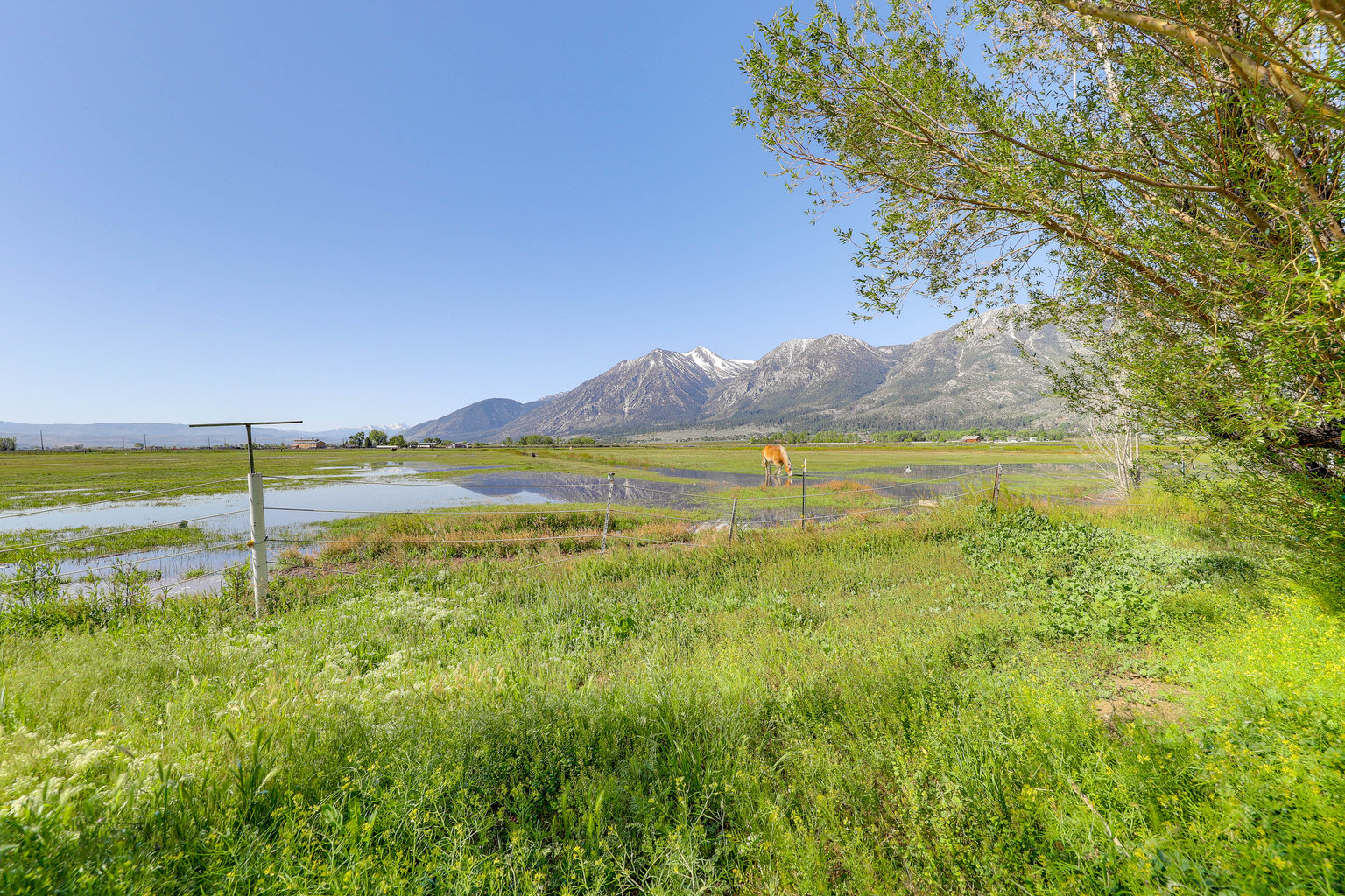 Gardnerville Vacation Rental