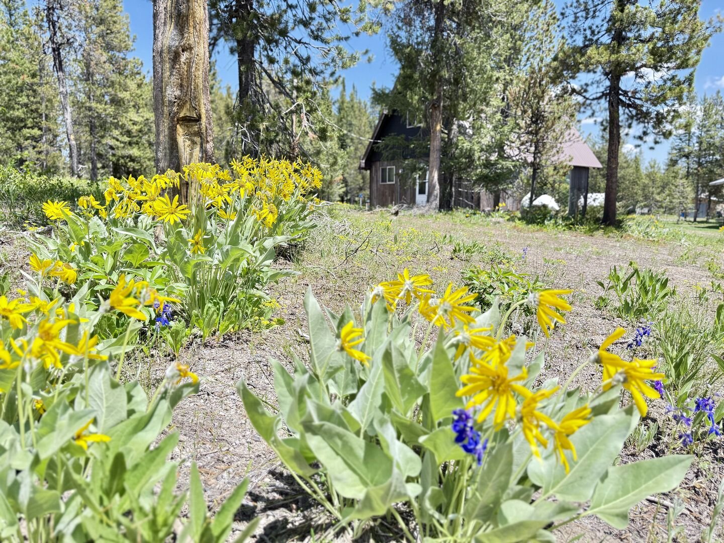 Island Park Vacation Rental