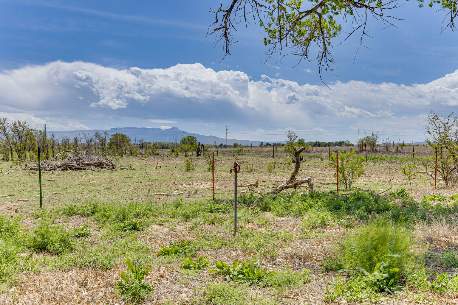 Trinidad Vacation Rental