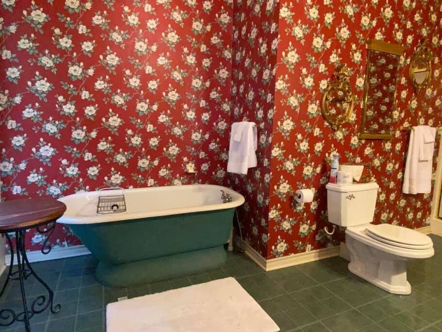 Bonham Vacation Rental