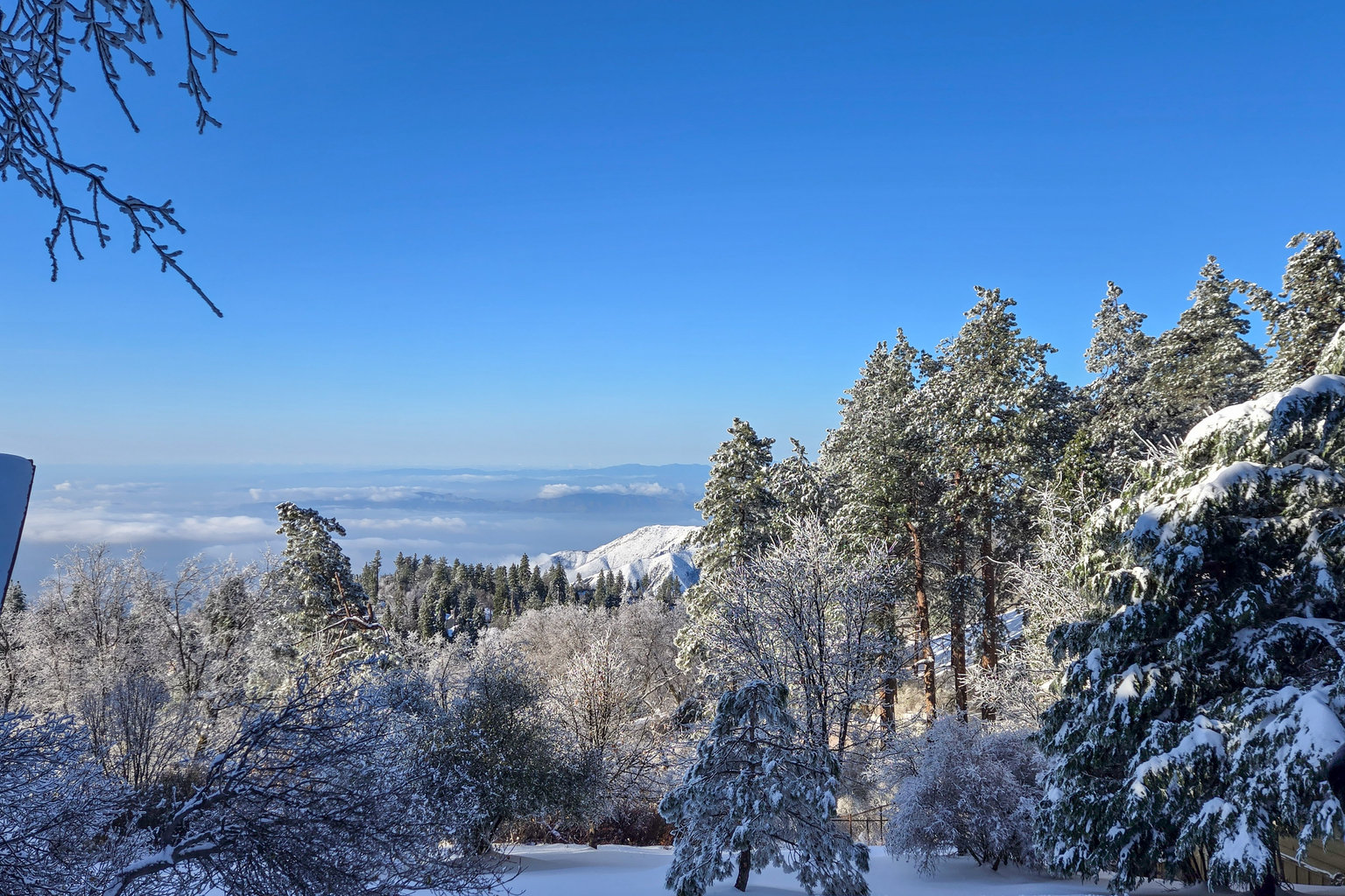 Running Springs Vacation Rental