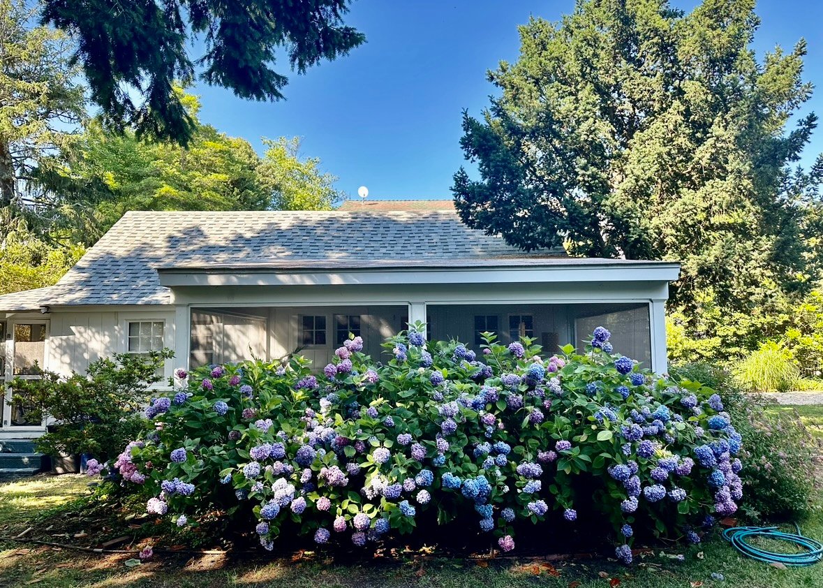 Rehoboth Beach Vacation Rental