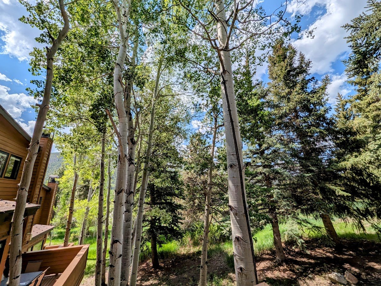 Keystone Vacation Rental