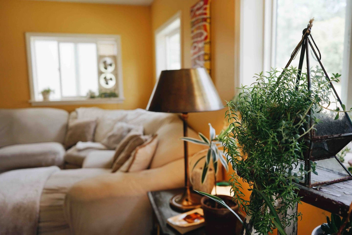 Thomas Vacation Rental