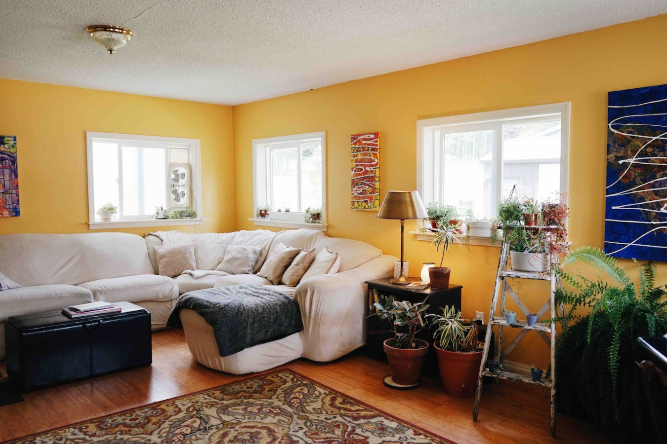 Thomas Vacation Rental