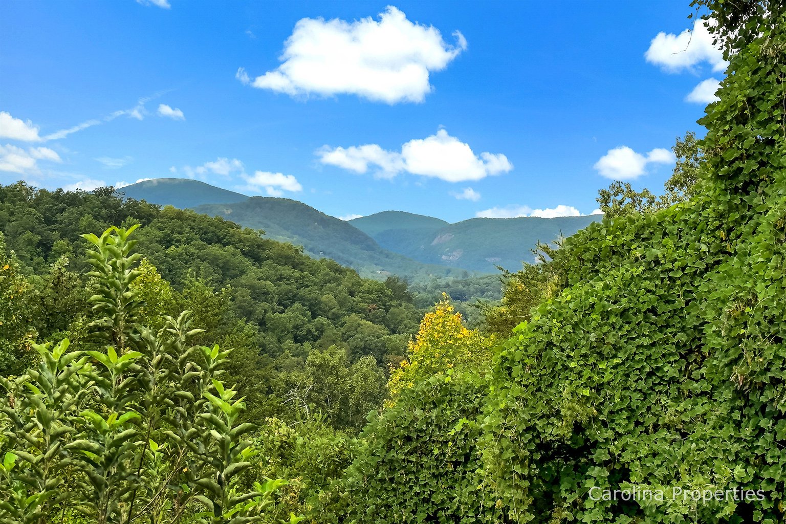 Lake Lure Vacation Rental