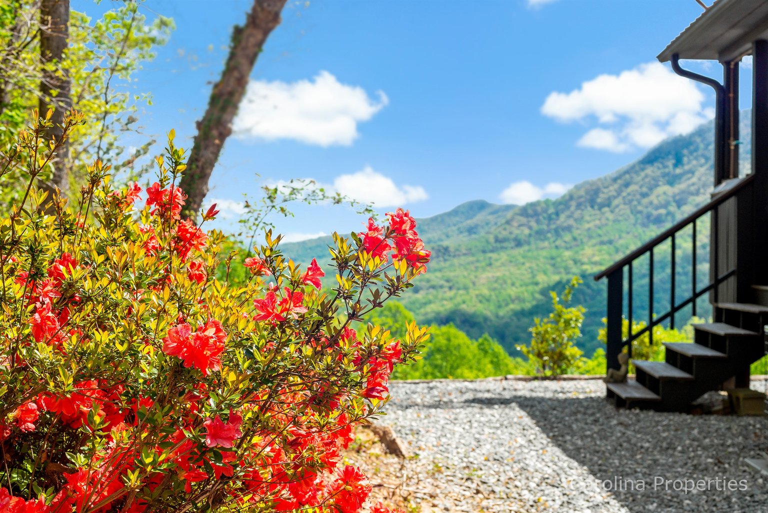 Saluda Vacation Rental