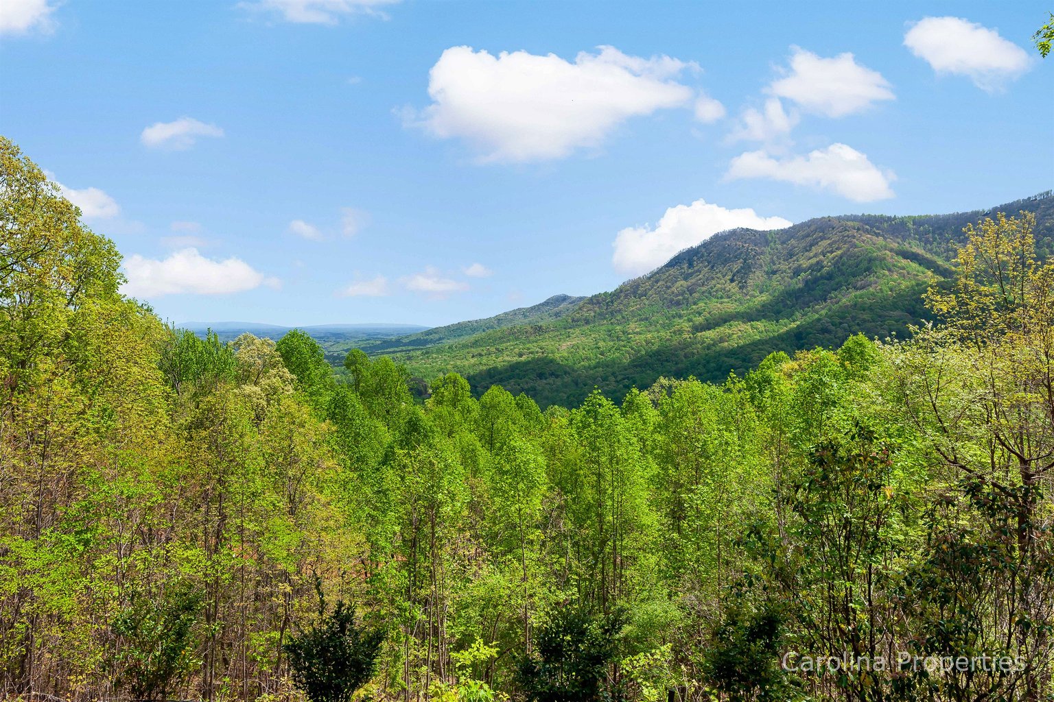 Saluda Vacation Rental