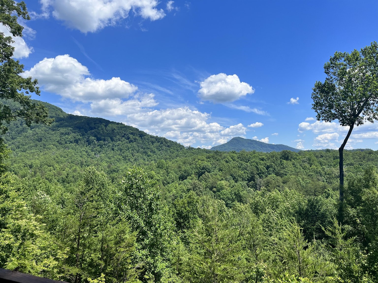 Lake Lure Vacation Rental