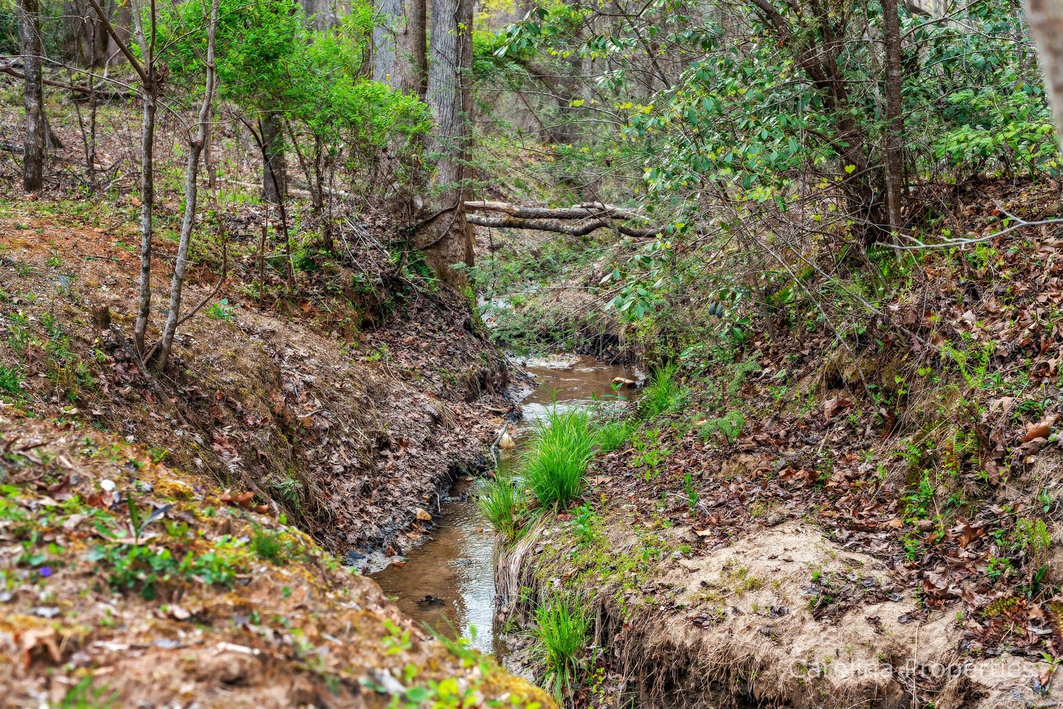 Lake Lure Vacation Rental
