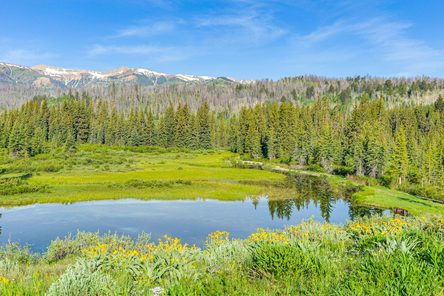 Bondurant Vacation Rental