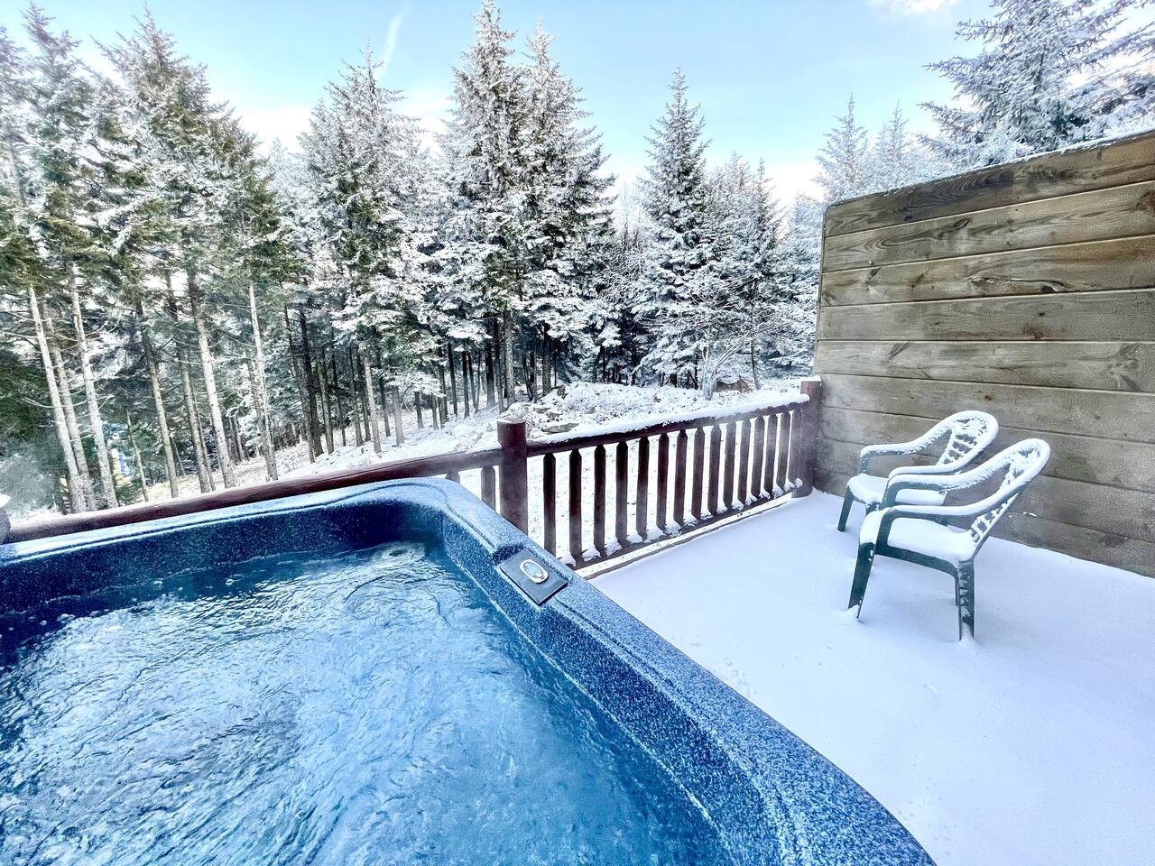 Snowshoe Vacation Rental