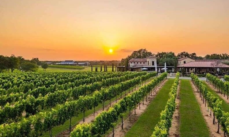 Blanco Vacation Rental