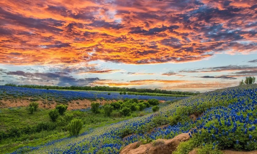 Dripping Springs Vacation Rental