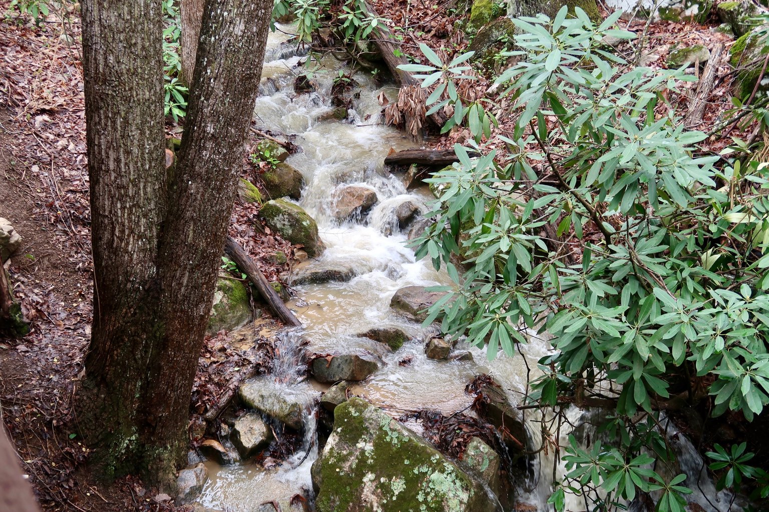 Pigeon Forge Vacation Rental