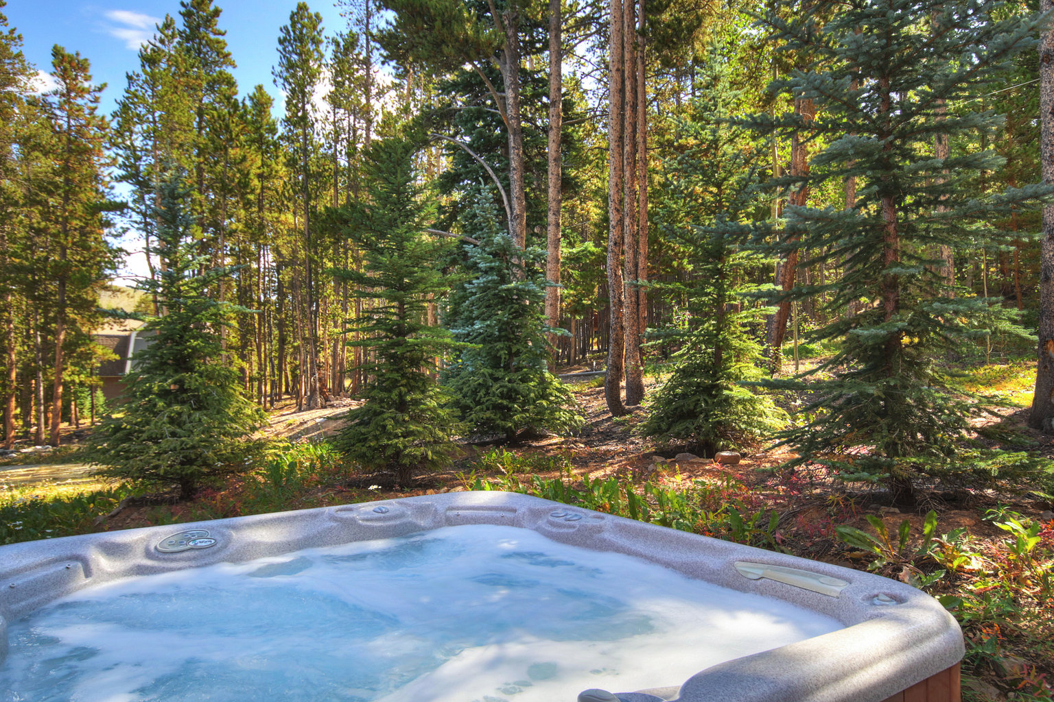 Breckenridge Vacation Rental