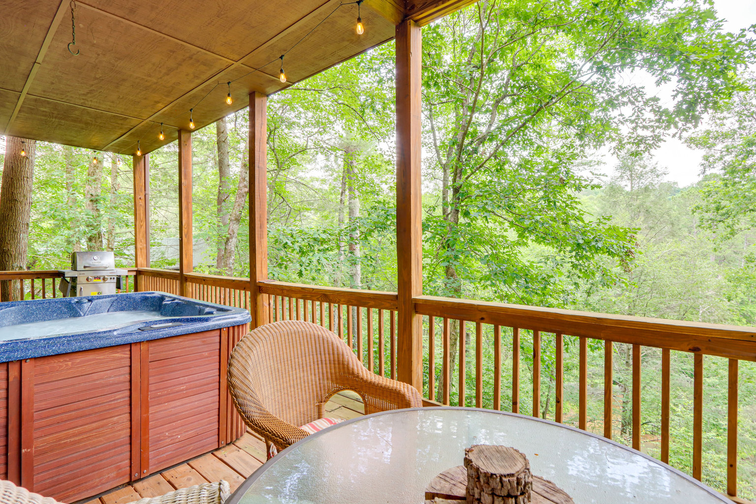 Ellijay Vacation Rental