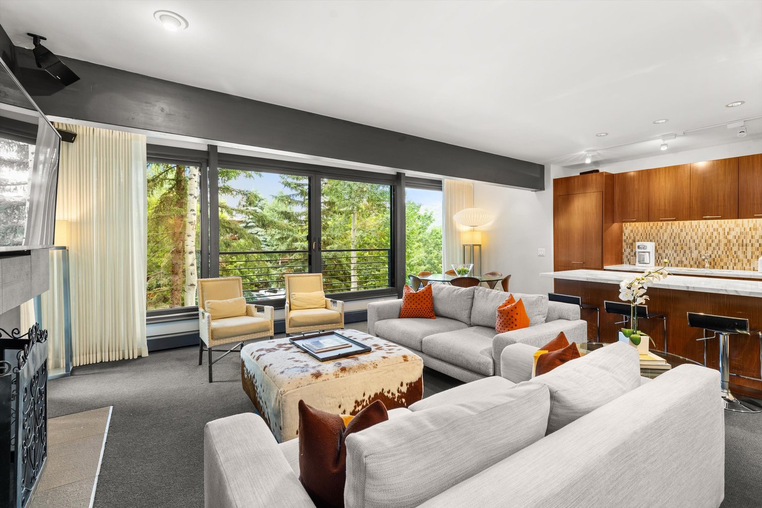 Aspen Vacation Rental