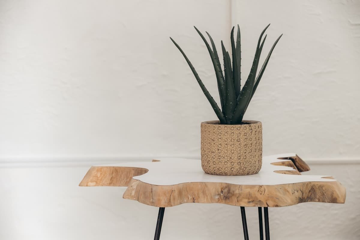 Bayamón Vacation Rental