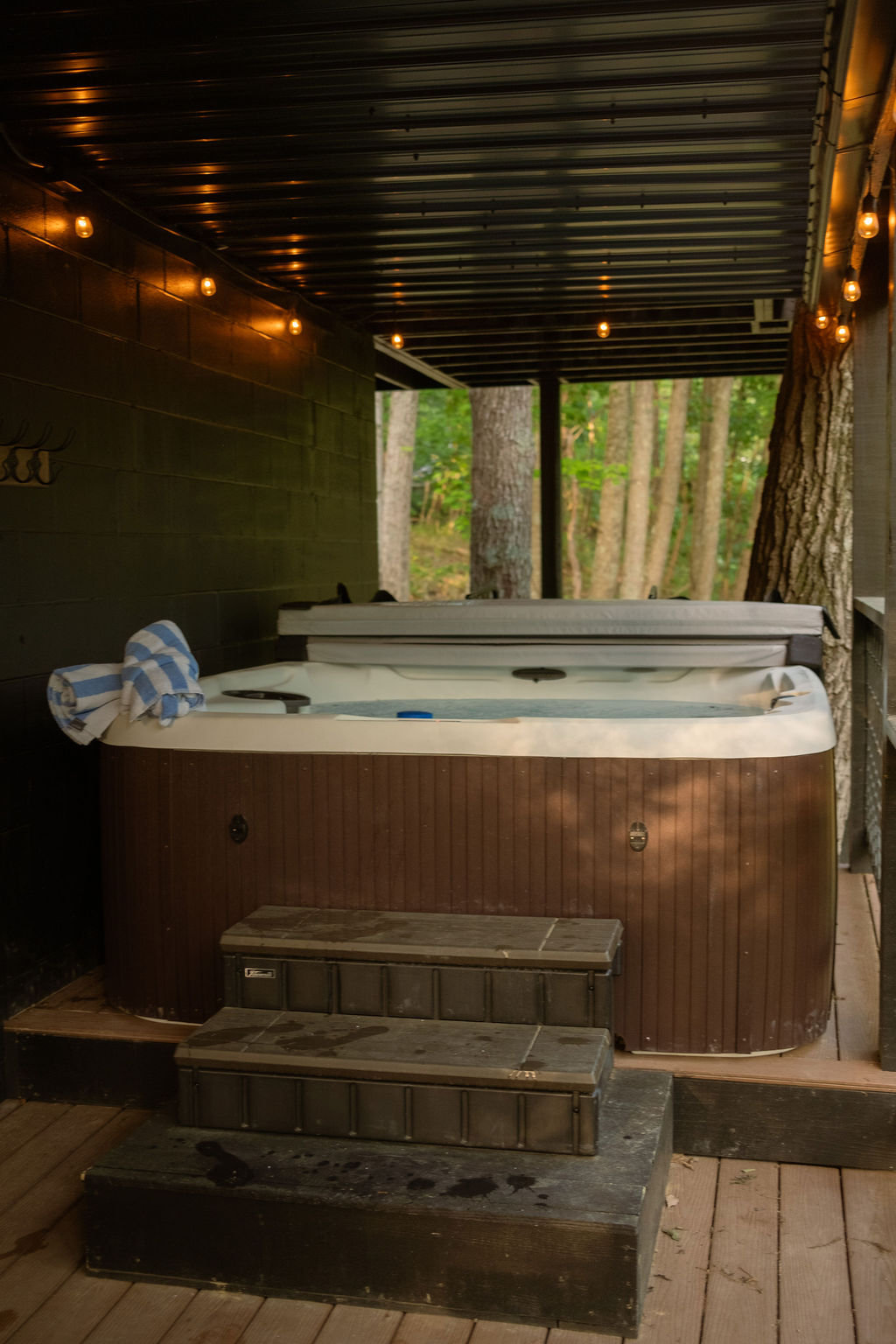 Laurelville Vacation Rental