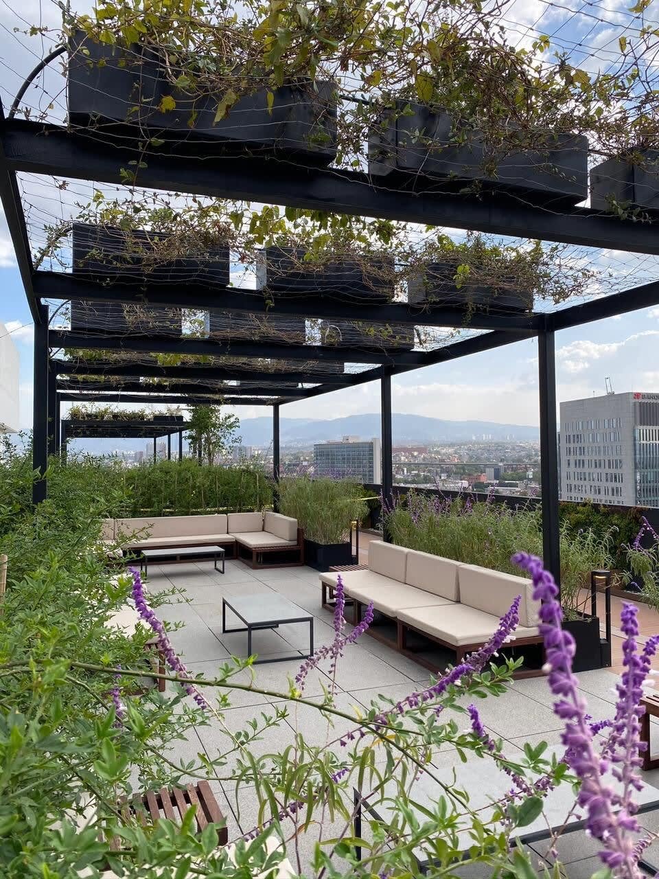 Ciudad de México Vacation Rental