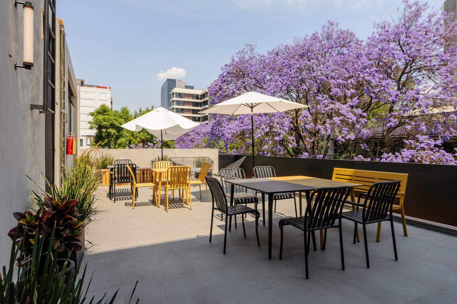 Ciudad de México Vacation Rental