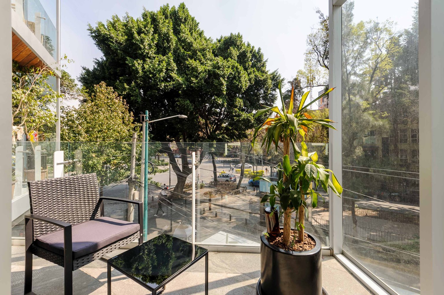 Ciudad de México Vacation Rental