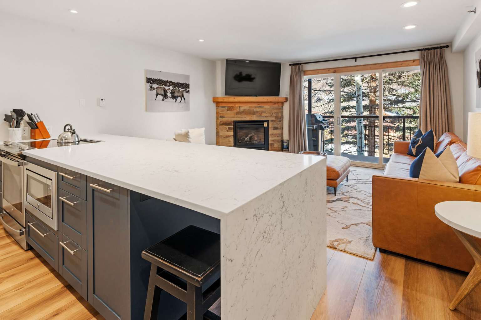 Snowmass Village Vacation Rental