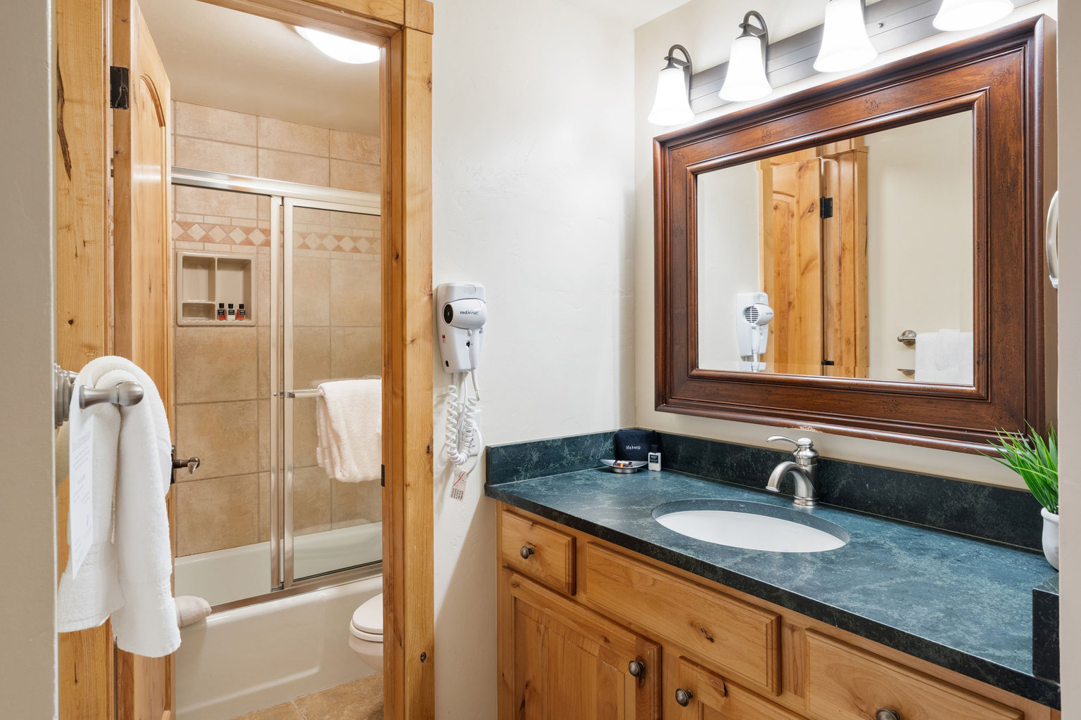 Snowmass Village Vacation Rental