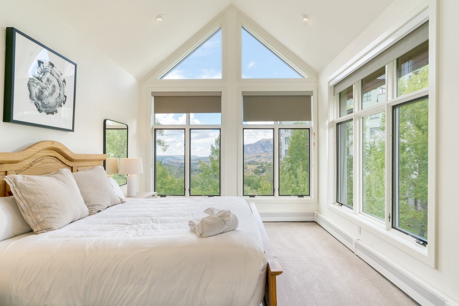 Mountain Village Vacation Rental