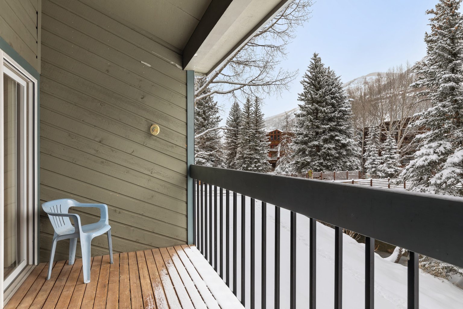 Telluride Vacation Rental