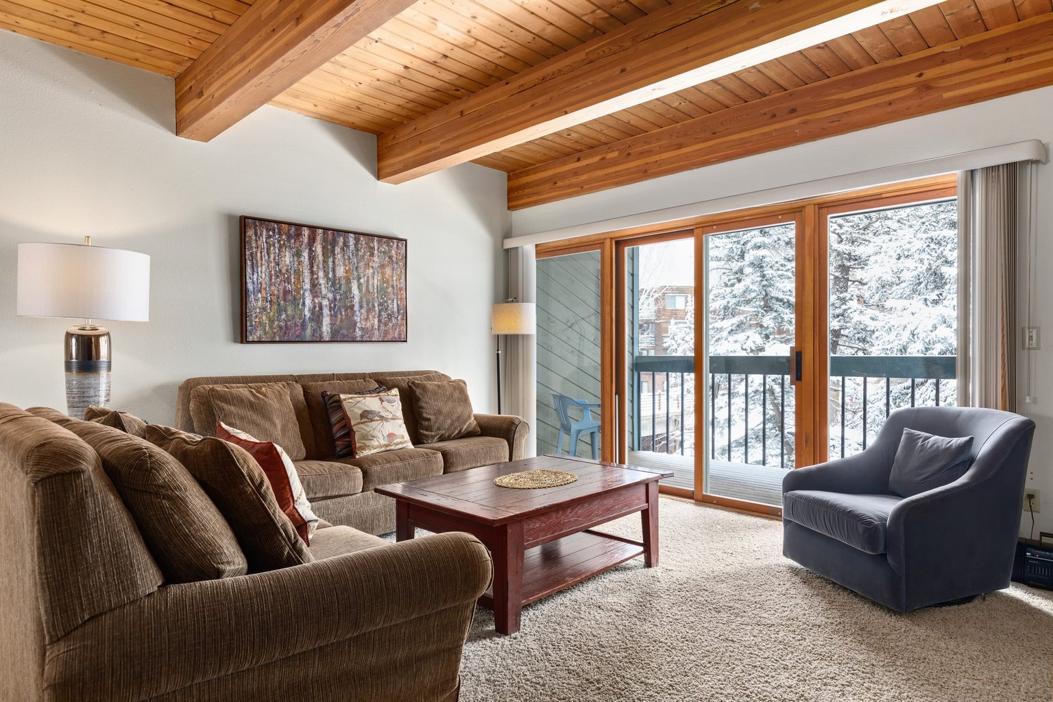 Telluride Vacation Rental