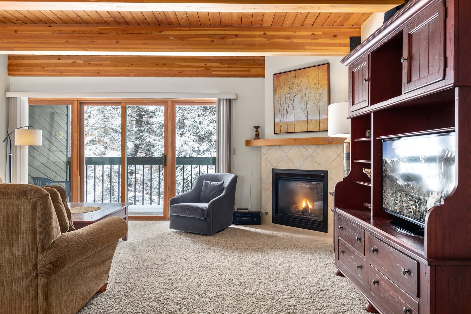 Telluride Vacation Rental