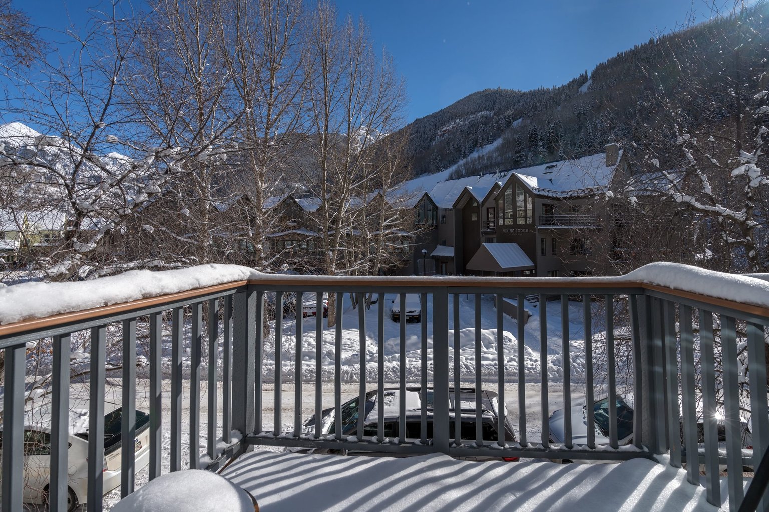 Telluride Vacation Rental