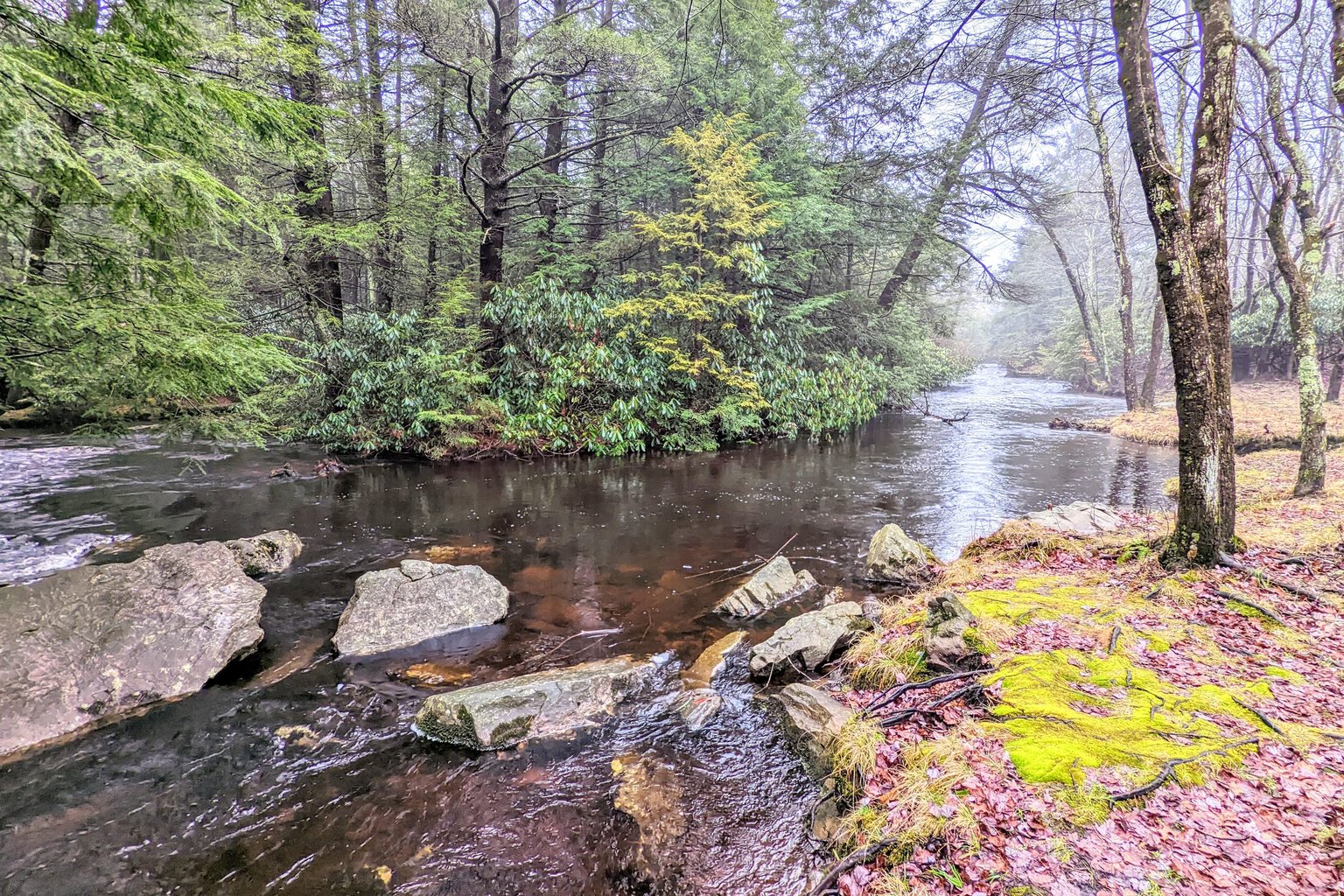 Albrightsville Vacation Rental