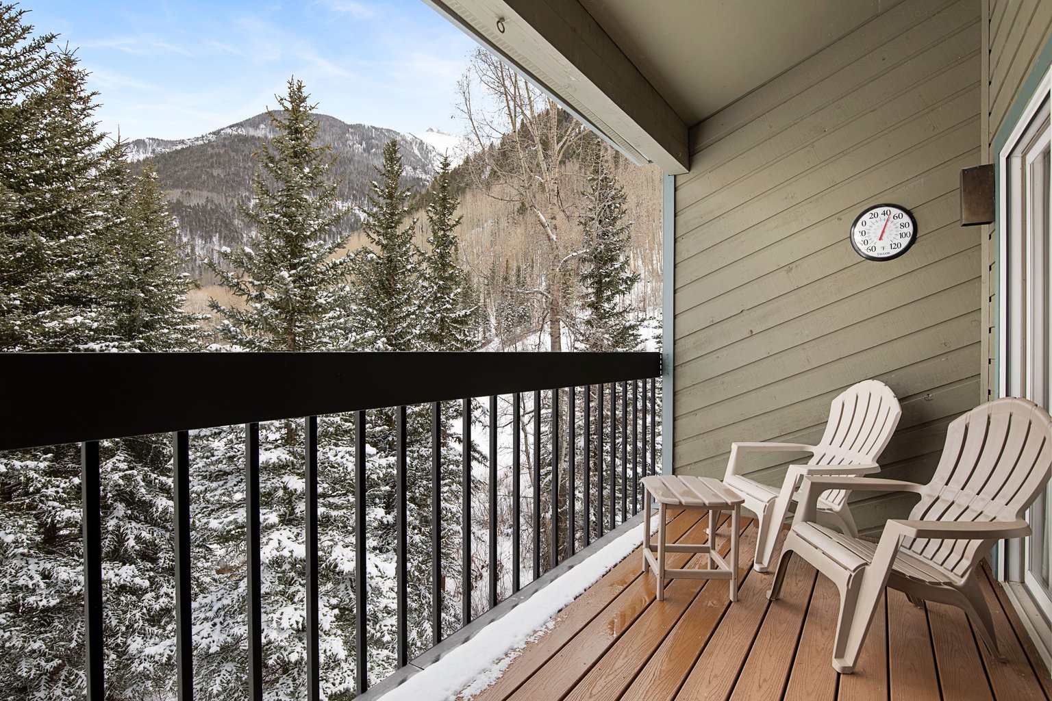 Telluride Vacation Rental
