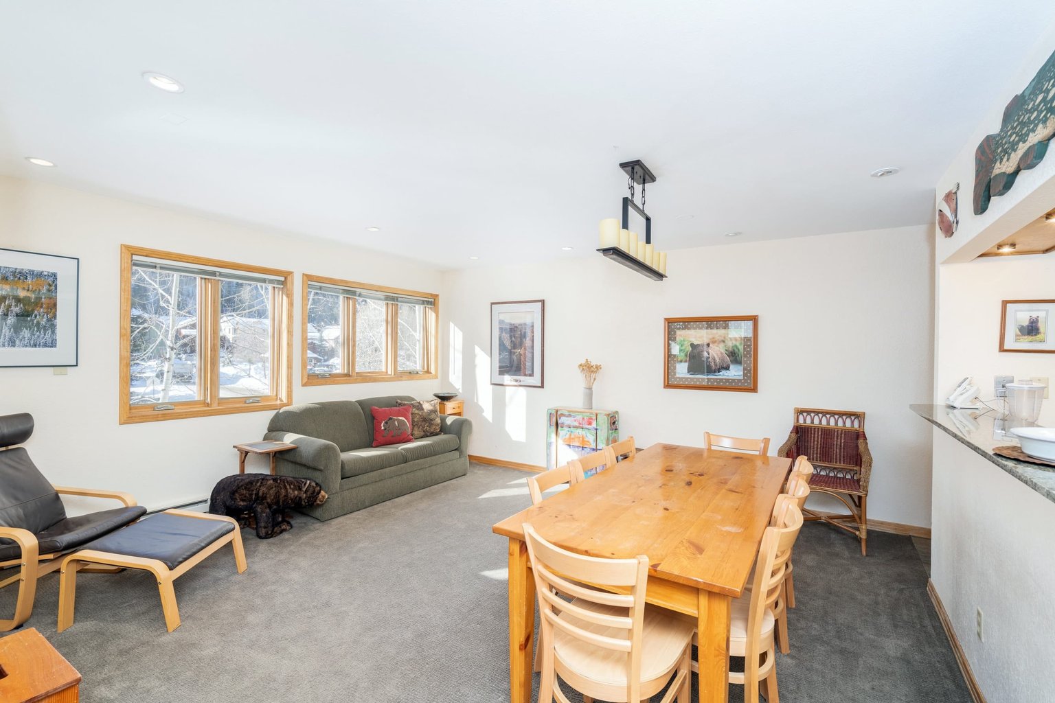 Telluride Vacation Rental