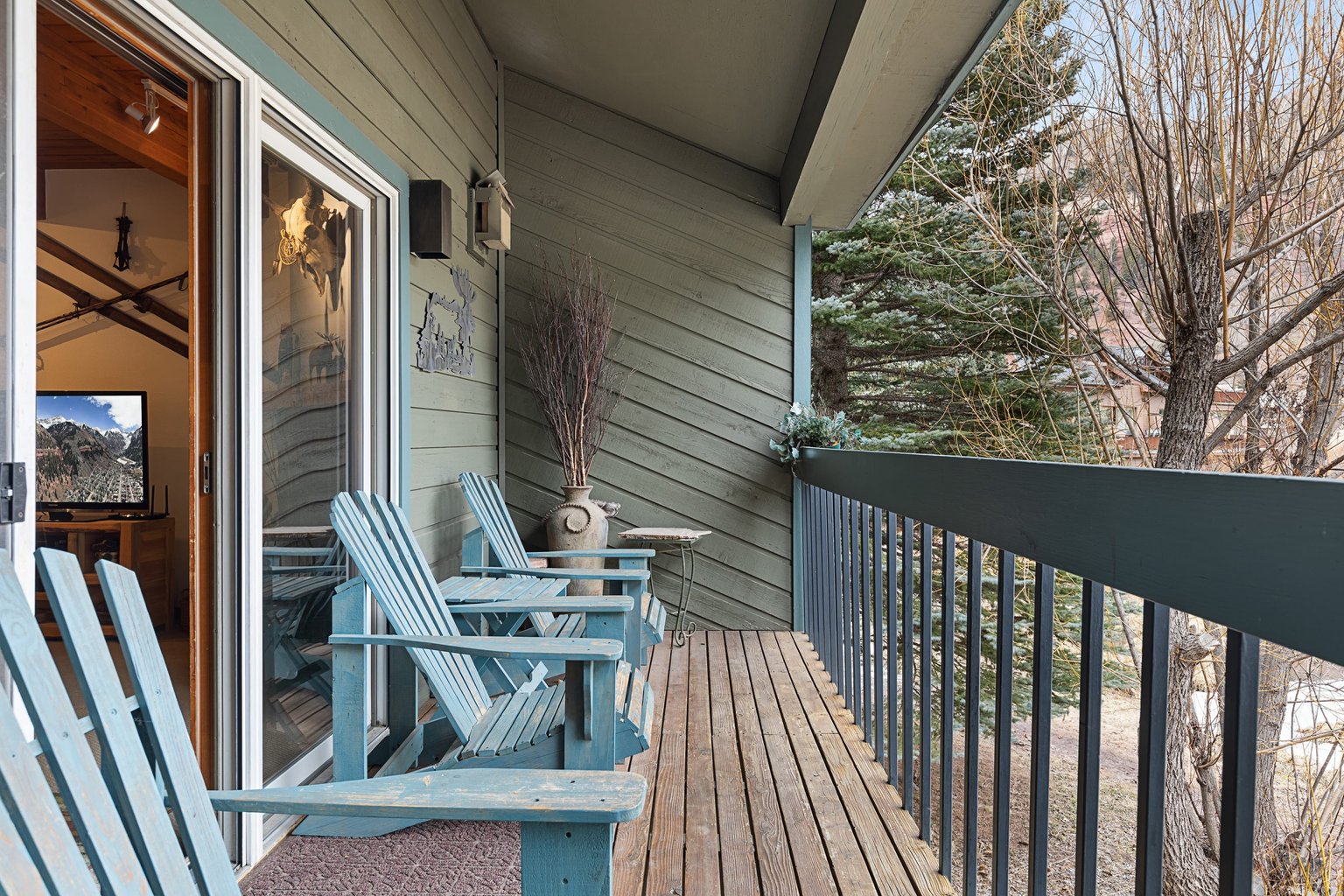 Telluride Vacation Rental