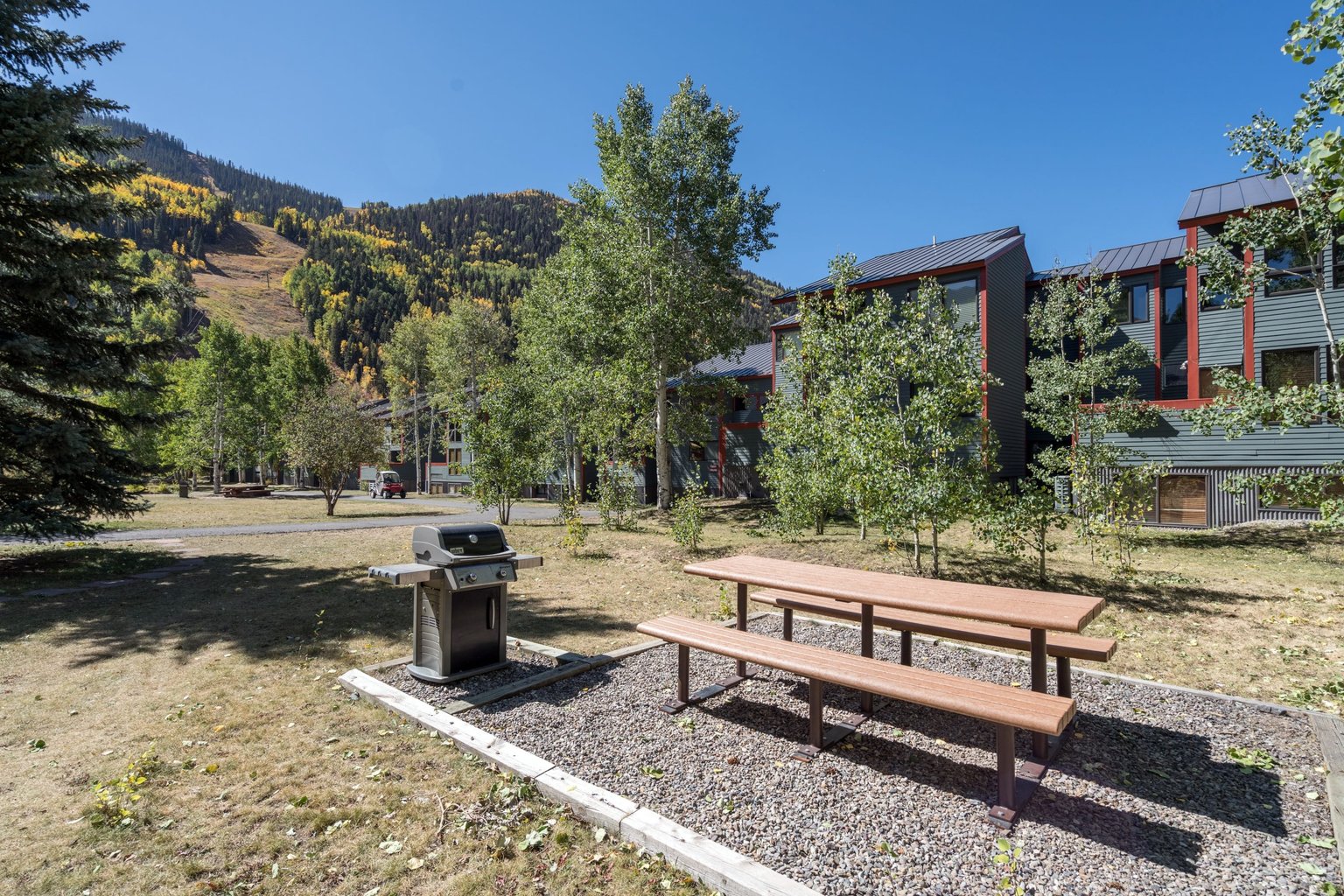 Telluride Vacation Rental