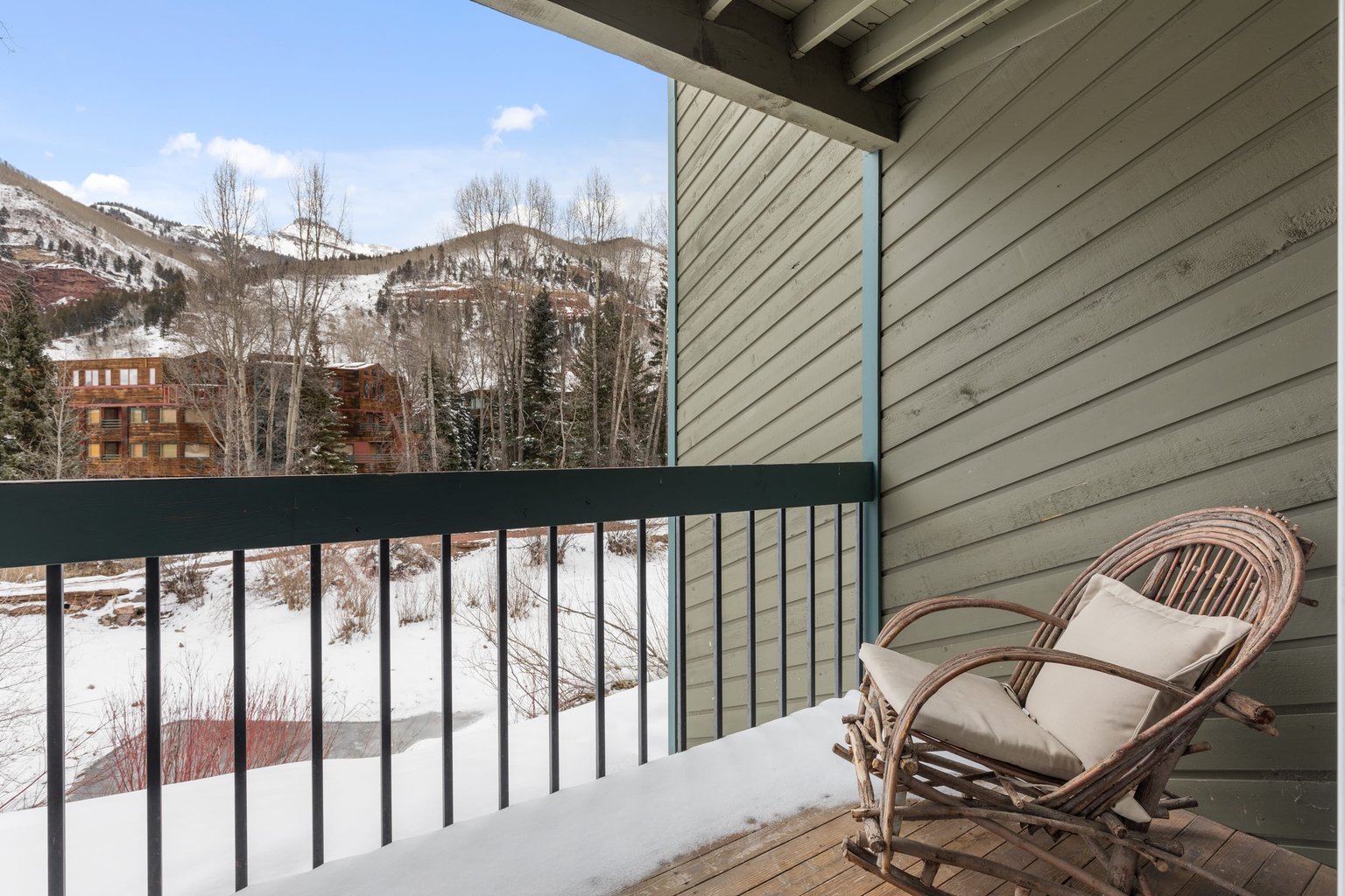 Telluride Vacation Rental