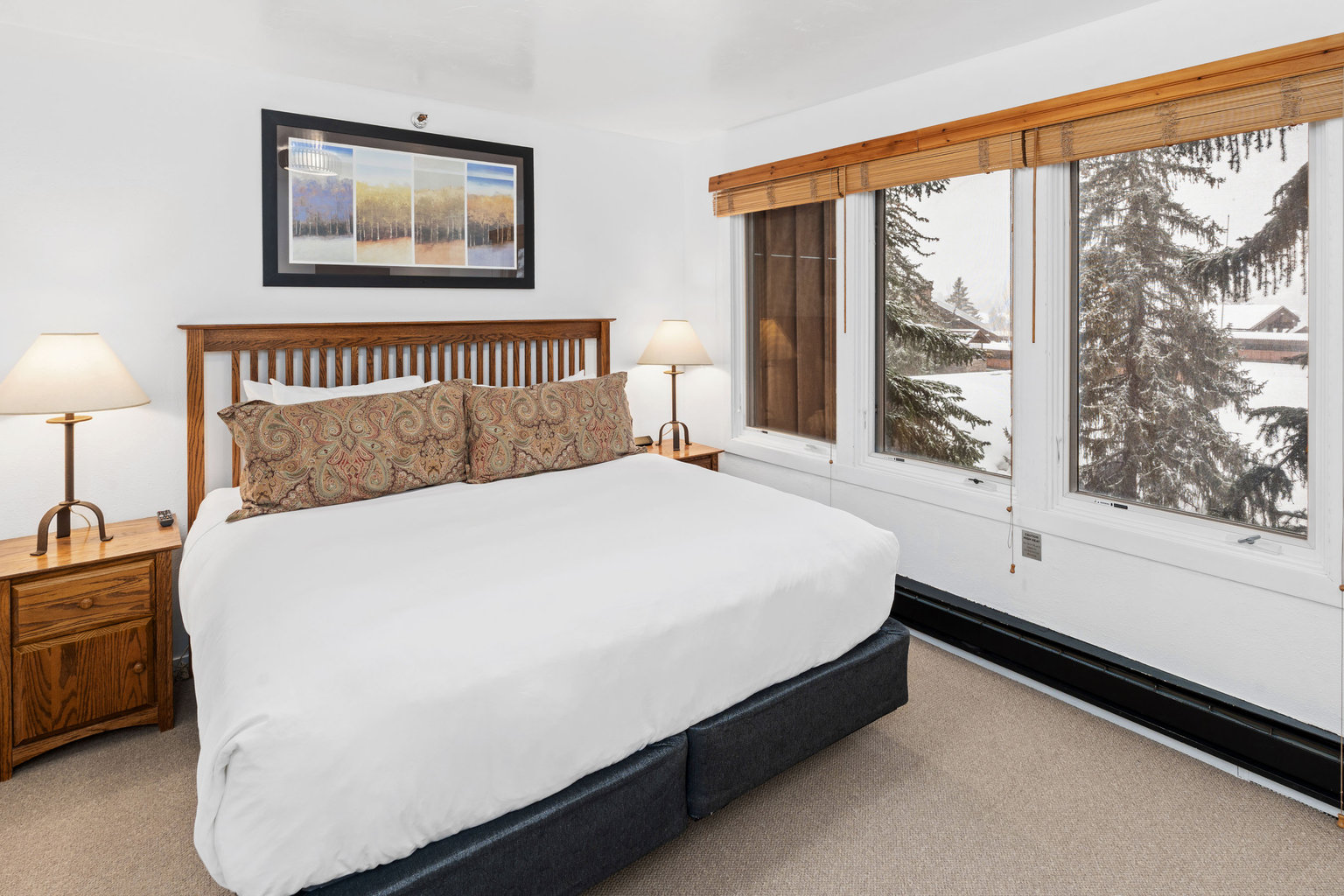 Snowmass Village Vacation Rental