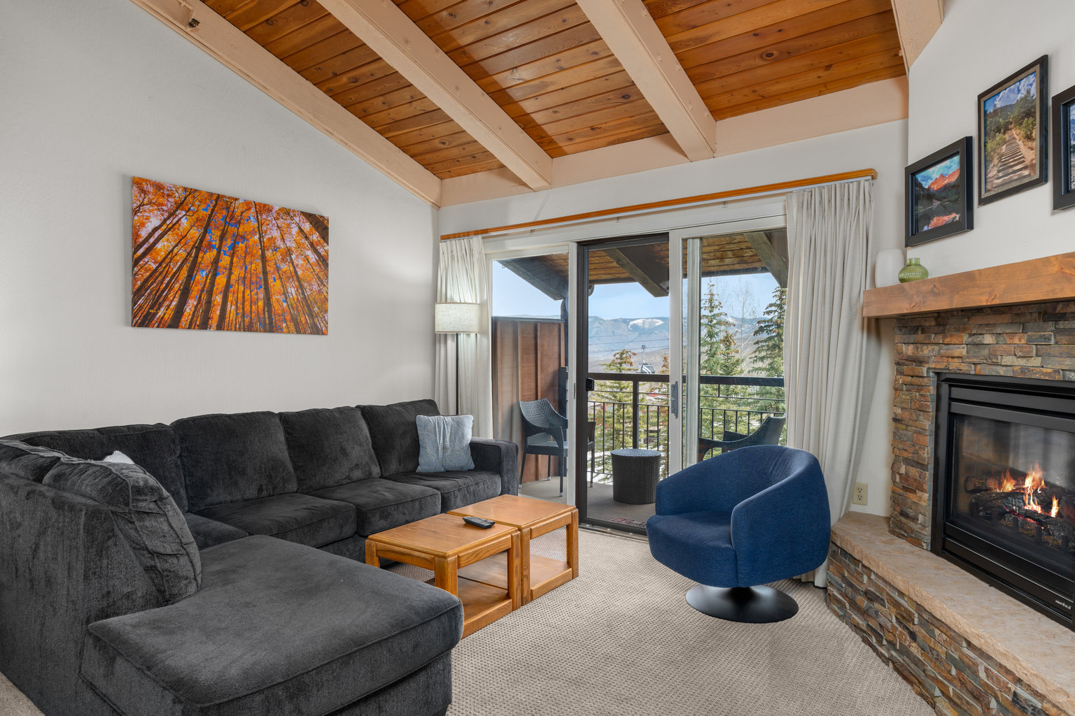 Snowmass Village Vacation Rental